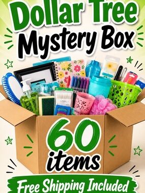 Dollar Tree Mystery Box - 60 Items